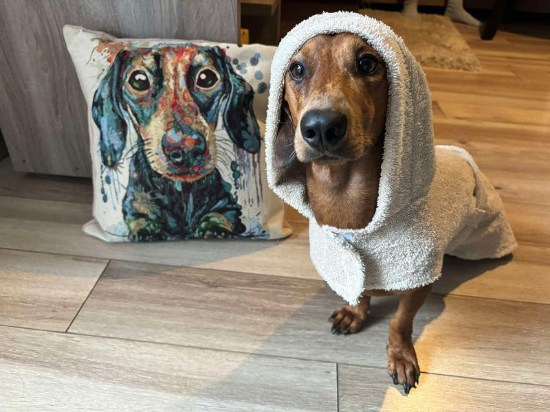 Pamut frottír kutyaköntös